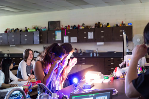 Picture of Hilo High students observing various light sources through filters