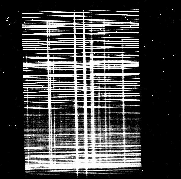 Raw K band spectral image of a crowded field.