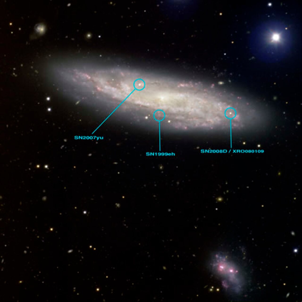 Catching the Light of a Baby Supernova