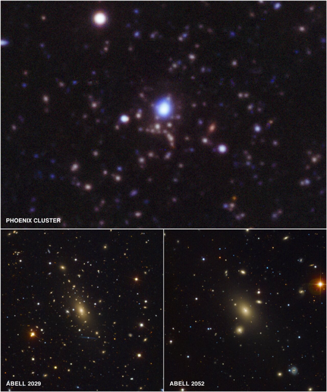 Astronomers Reassured by Record-breaking Star Formation in Huge Galaxy Cluster