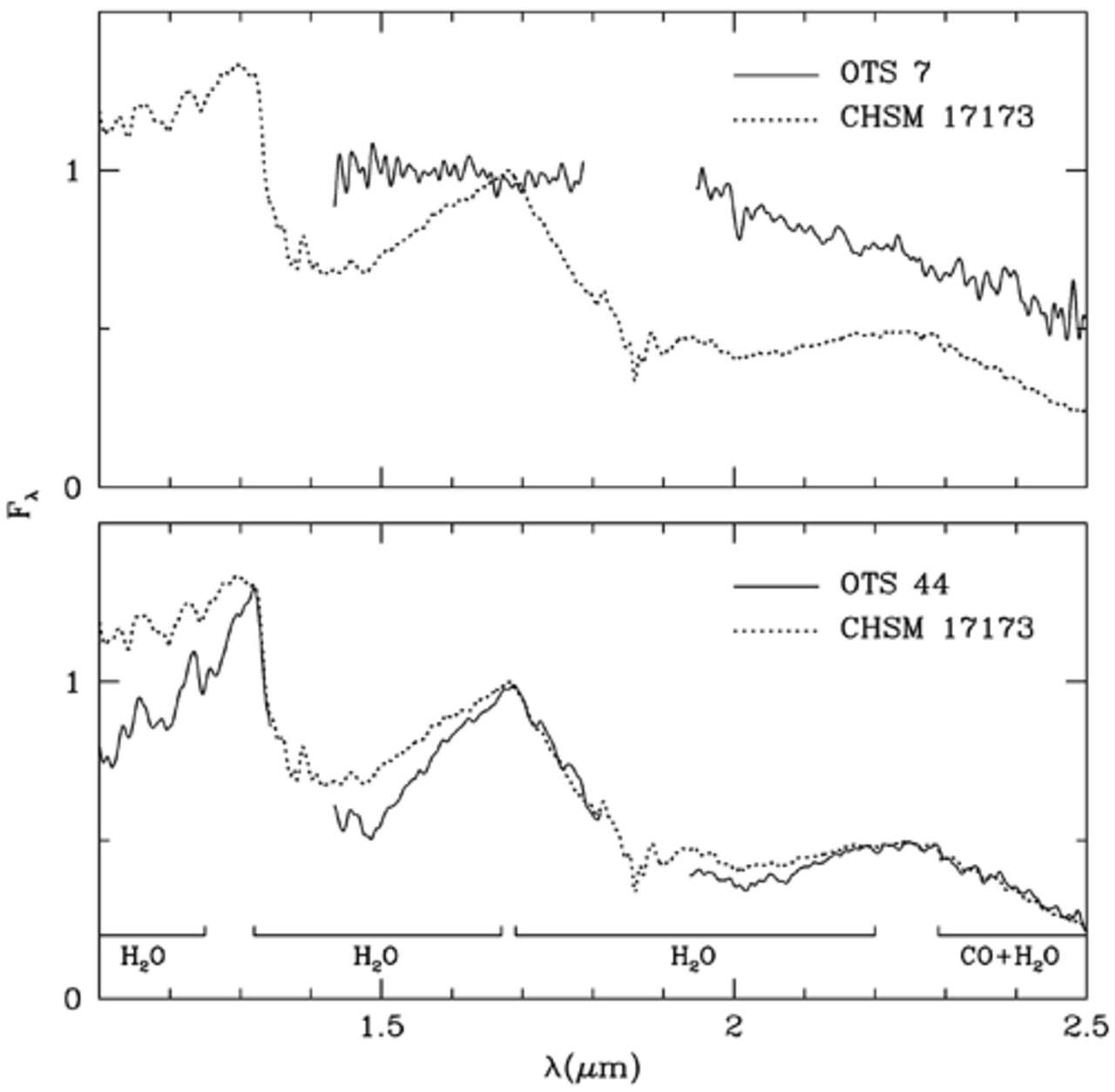Strong spectral signatures of steam betray low mass brown dwarf using GNIRS at Gemini South