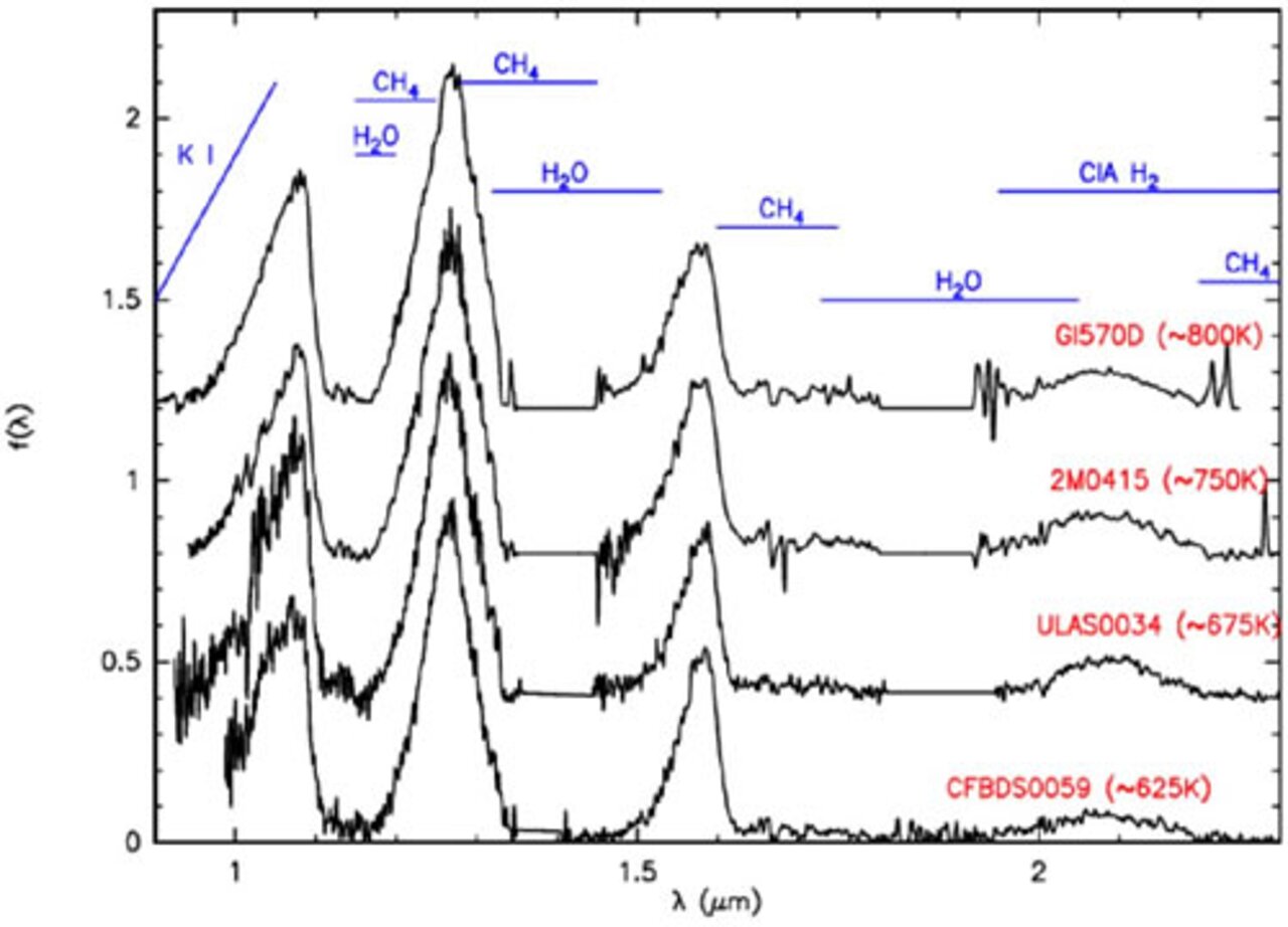 Ammonia Found in Atmosphere of Coolest Brown Dwarf