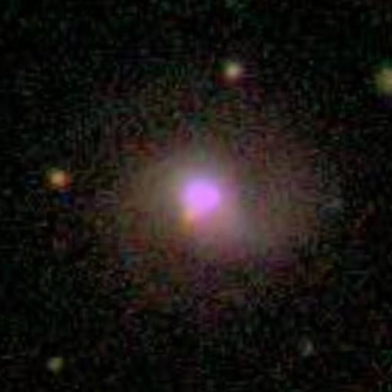 Probing the host galaxy of a luminous quasar