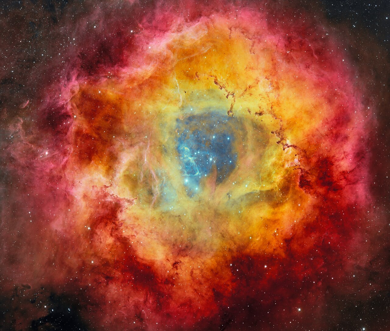 Radiant Stars at the Heart of a Cosmic Rose