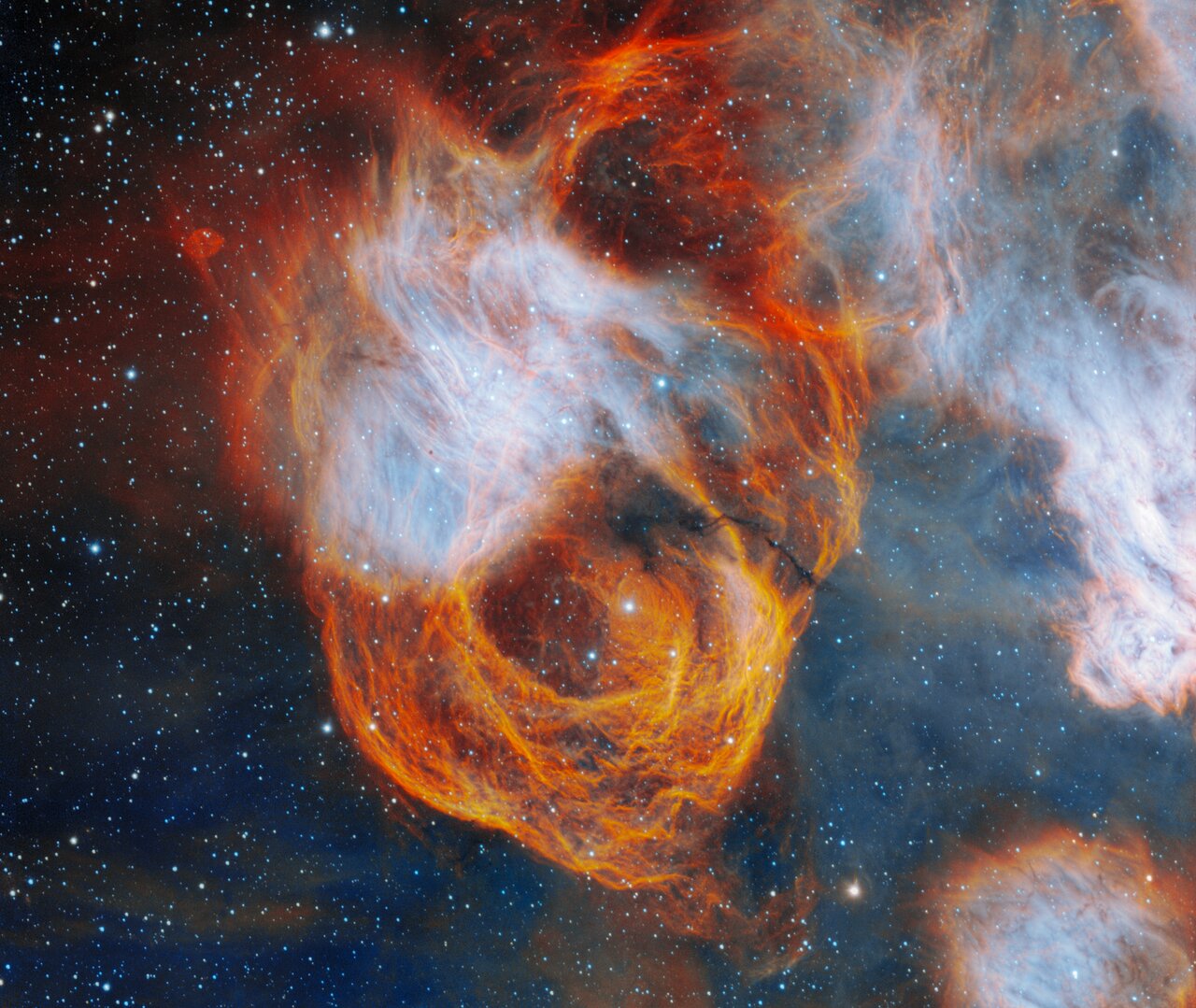 Una rosa ardiente capturada por Gemini Sur