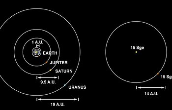 The brown dwarf