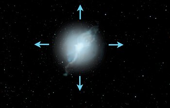 Some Rare Abnormal Stars may have White Dwarf Parents to Blame