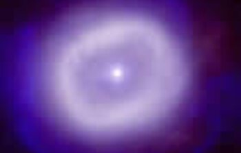 White Dwarfs and the Evolution of Stars