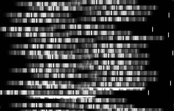 GMOS spectra in the GCLASS survey