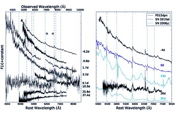 Spectra of PS15dpn from the combined GMOS, PESSTO and SNIFS campaign