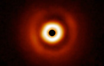 Dusty disk around HD 169142
