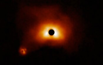 Dusty disk around HD 50138