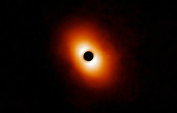 Dusty disk around MWC 614
