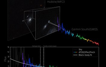 Gemini Spectrum of 'the Finch'