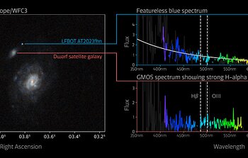 Gemini Spectrum of 'the Finch'