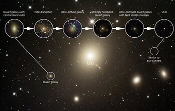 Morphological sequence from dwarf galaxy to UCD