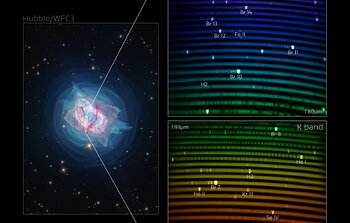 IGRINS-2 captures spectrum of Jewel Bug Nebula