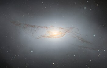 The Twisted Dusty Disk of NGC 4753