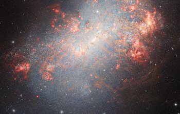 Starburst Galaxy NGC 4449