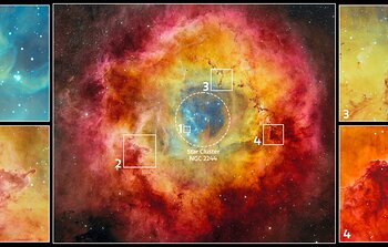 Excerpts From Rosette Nebula