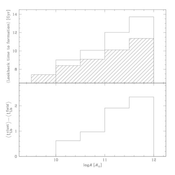 Average lookback time to formation for the field galaxies and cluster galaxies