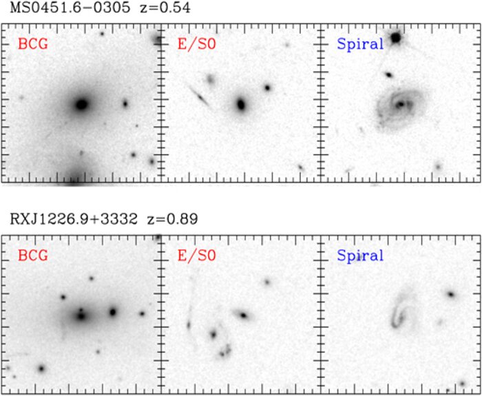 HST images of cluster members