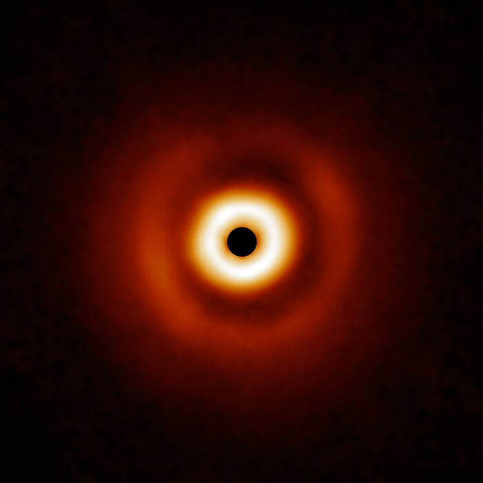 Dusty disk around HD 169142
