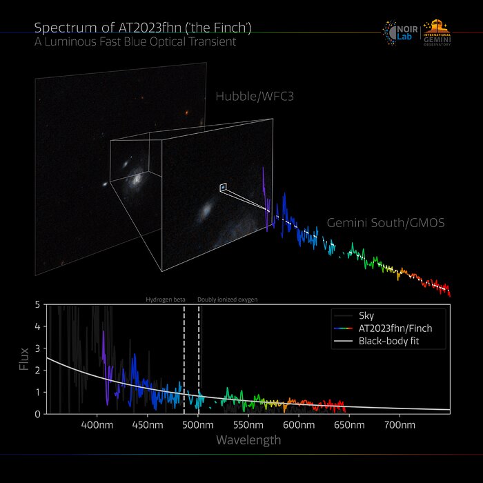 Gemini Spectrum of 'the Finch'