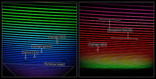 Mosaico de los dos espectros GHOST (etiquetados).